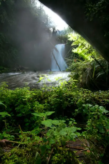 Mariners Falls Foliage