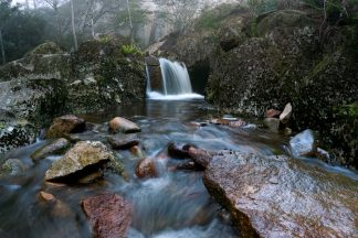 Mt Paris Dam Tasmania Stream