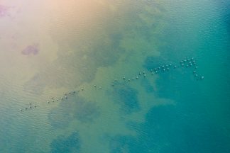 Pylon Aerial
