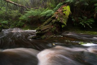 Snug Falls Stream