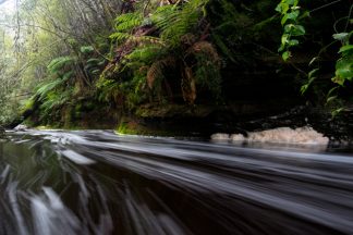 Tasmanian stream