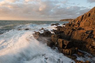 Wild Afternoon's at Mount Martha